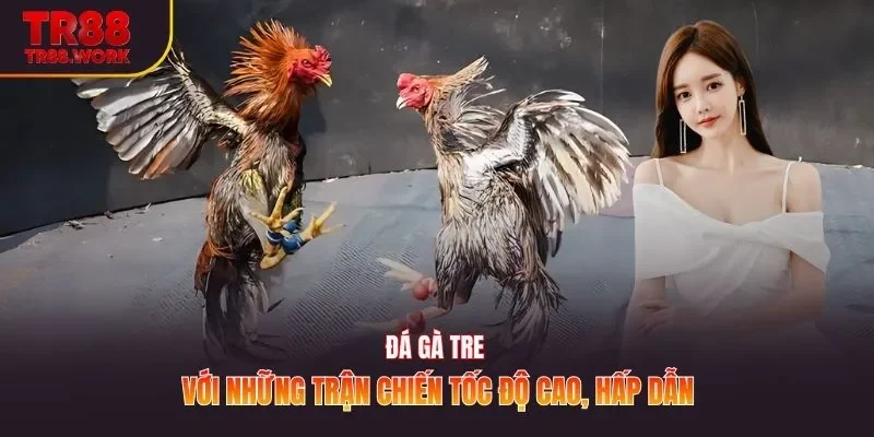 Đá Gà Tre